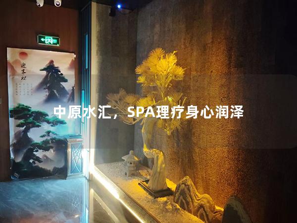 中原水汇，SPA理疗身心润泽