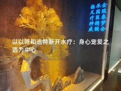 以以呼和浩特新开水疗：身心宠爱之选为中心