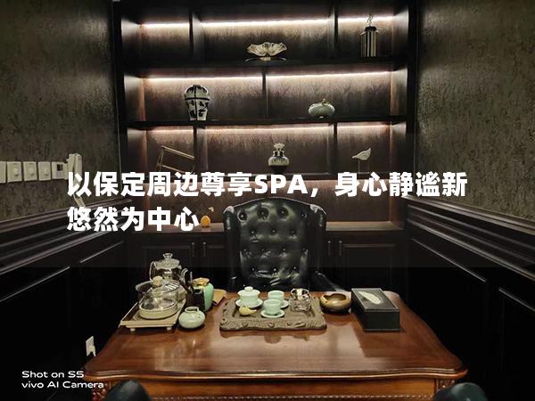 以保定周边尊享SPA，身心静谧新悠然为中心