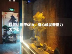 以武进理疗SPA，身心焕发新活力为中心