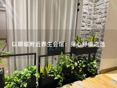 以聊城附近养生会馆：身心舒缓之选