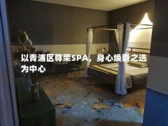 以青浦区尊荣SPA，身心焕新之选为中心