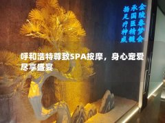 呼和浩特尊致SPA按摩，身心宠爱尽享盛宴