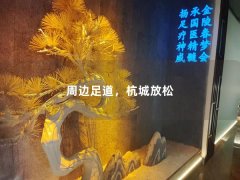 周边足道，杭城放松