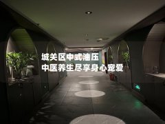 城关区中式油压 中医养生尽享身心宠爱