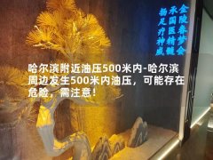 哈尔滨附近油压500米内-哈尔滨周边发生500米内油压，可能存在危险，需注意！