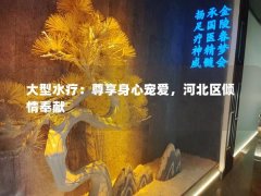 大型水疗：尊享身心宠爱，河北区倾情奉献