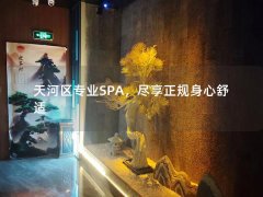 天河区专业SPA，尽享正规身心舒适