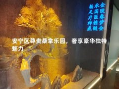 安宁区尊贵桑拿乐园，奢享豪华独特魅力