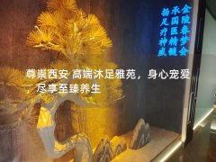 尊崇西安 高端沐足雅苑，身心宠爱，尽享至臻养生