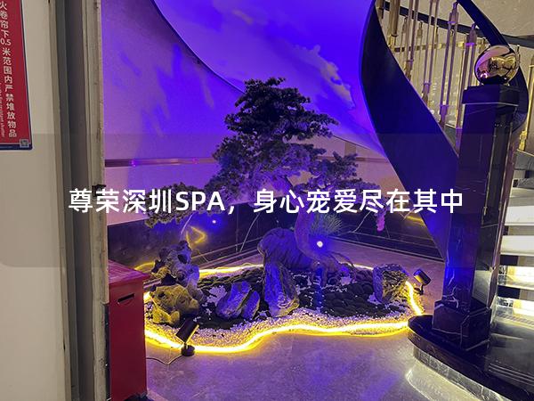 尊荣深圳SPA，身心宠爱尽在其中