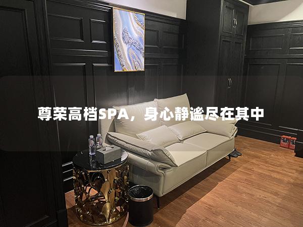 尊荣高档SPA，身心静谧尽在其中