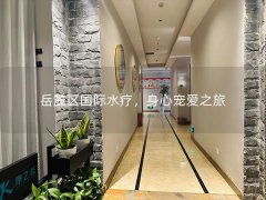 岳麓区国际水疗，身心宠爱之旅