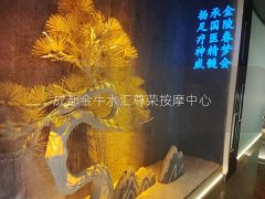 成都金牛水汇尊荣按摩中心