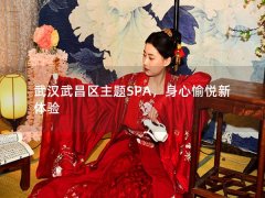 武汉武昌区主题SPA，身心愉悦新体验