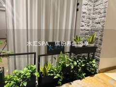 水汇SPA，缤纷养生悠享