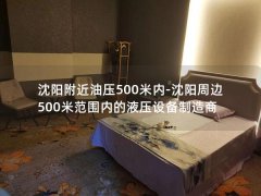 沈阳附近油压500米内-沈阳周边500米范围内的液压设备制造商