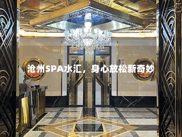 沧州SPA水汇，身心放松新奇妙