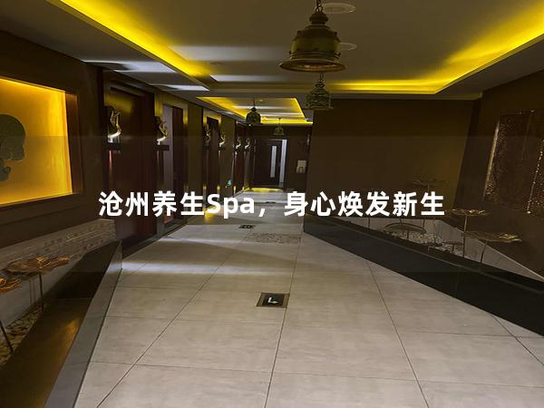 沧州养生Spa，身心焕发新生