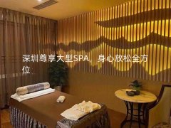 深圳尊享大型SPA，身心放松全方位