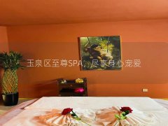 玉泉区至尊SPA，尽享身心宠爱