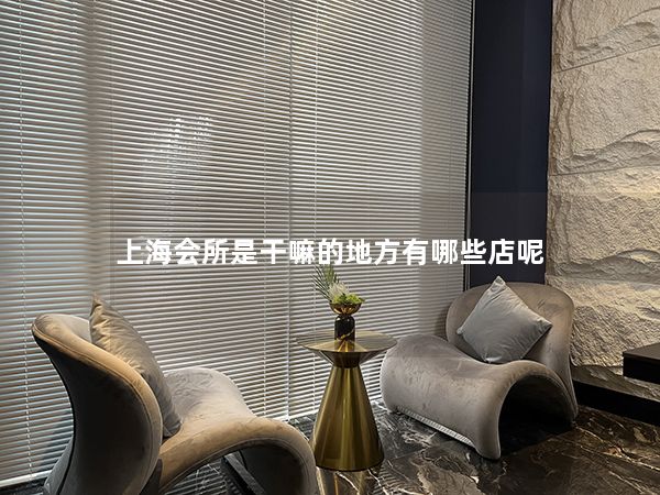 上海会所是干嘛的地方有哪些店呢